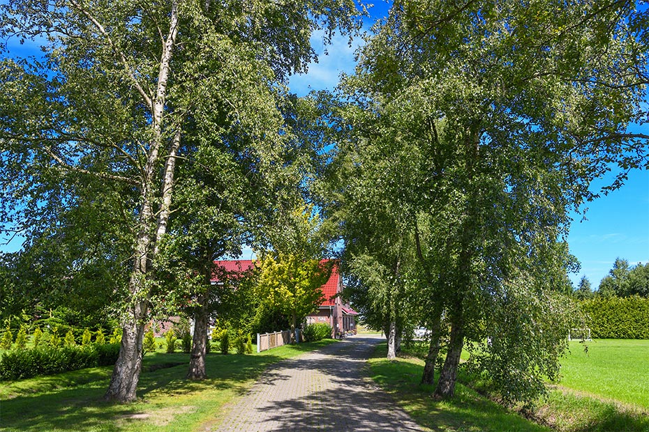 Foto aus der Fotogruppe 