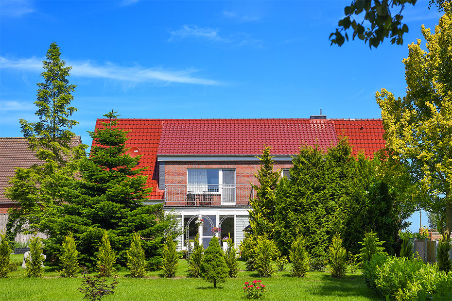 Foto aus der Fotogruppe 