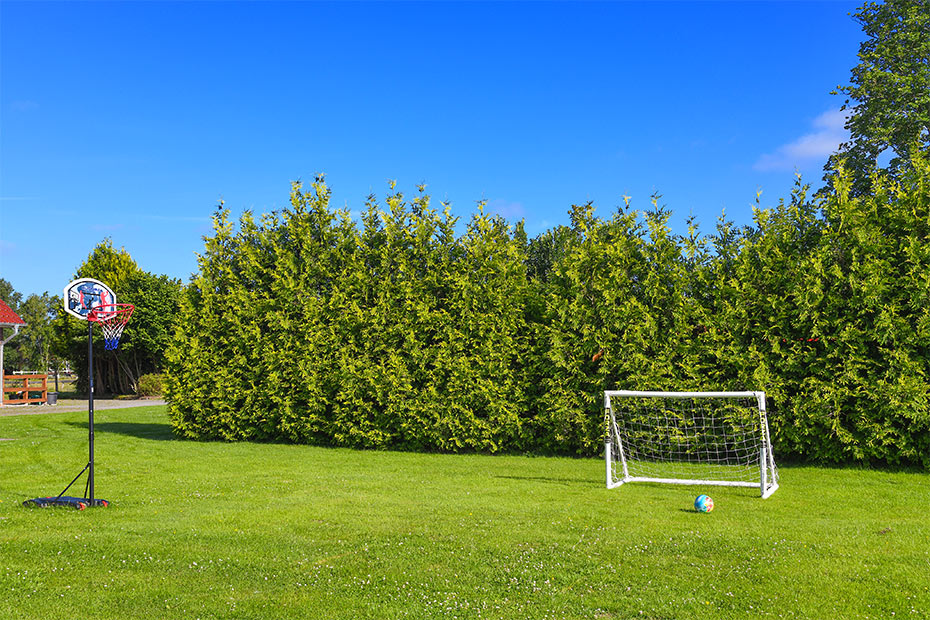 Foto aus der Fotogruppe 