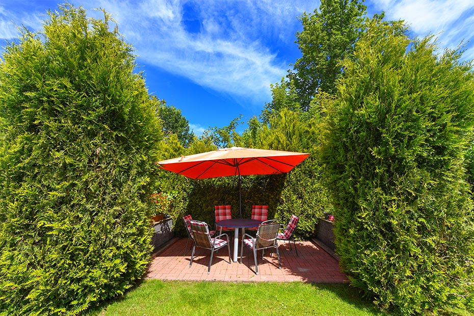 Foto aus der Fotogruppe 