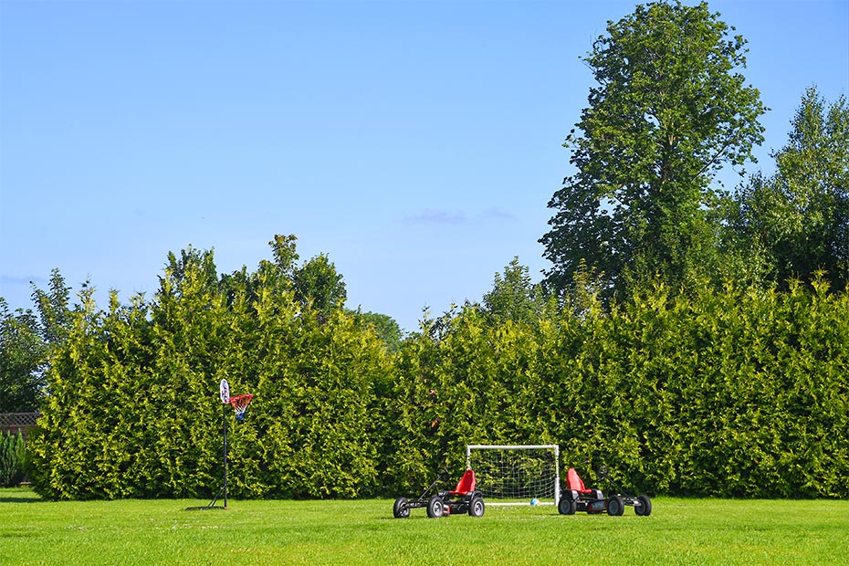 Foto aus der Fotogruppe 